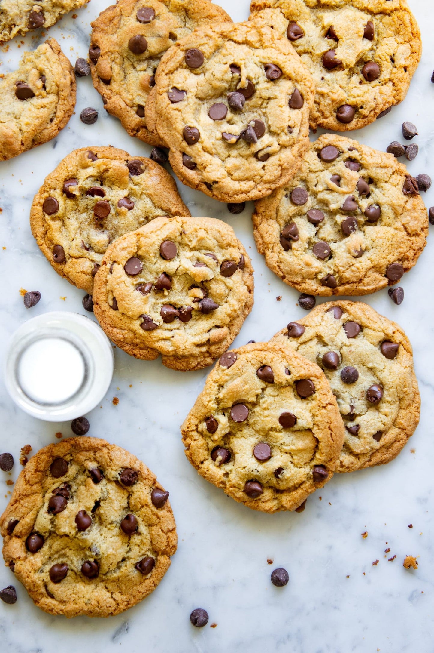 The Bakers Dozen: Chocolate Chip Cookies